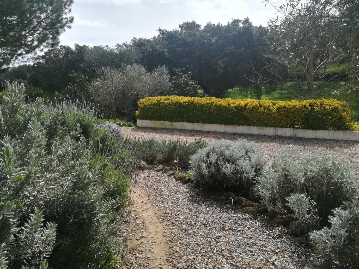 Quinta Do Cano Évora Exteriér fotografie