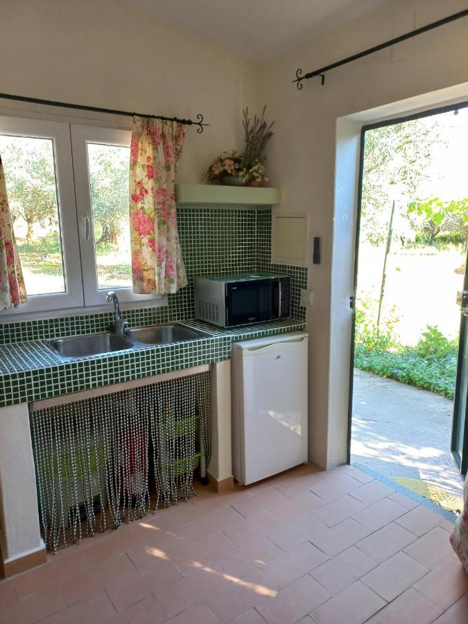 Quinta Do Cano Évora Exteriér fotografie